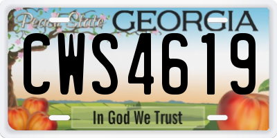 GA license plate CWS4619
