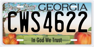 GA license plate CWS4622