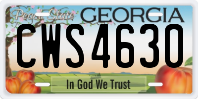 GA license plate CWS4630