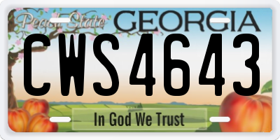 GA license plate CWS4643