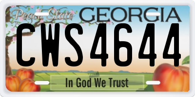 GA license plate CWS4644