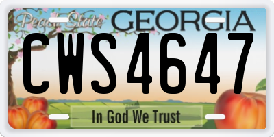 GA license plate CWS4647