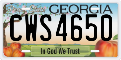GA license plate CWS4650