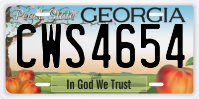 GA license plate CWS4654