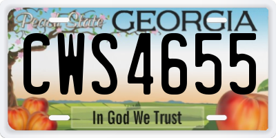 GA license plate CWS4655