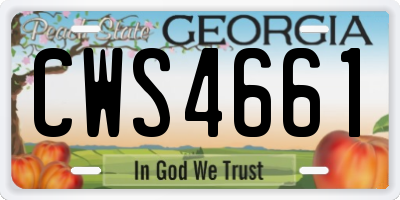 GA license plate CWS4661