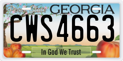 GA license plate CWS4663