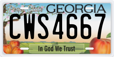 GA license plate CWS4667