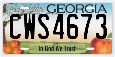 GA license plate CWS4673