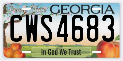 GA license plate CWS4683