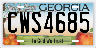 GA license plate CWS4685
