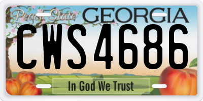 GA license plate CWS4686