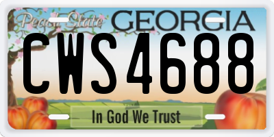GA license plate CWS4688