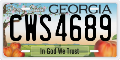 GA license plate CWS4689