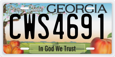 GA license plate CWS4691