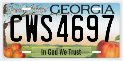 GA license plate CWS4697