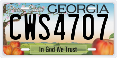 GA license plate CWS4707
