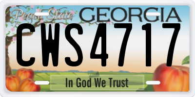 GA license plate CWS4717