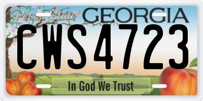 GA license plate CWS4723