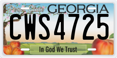 GA license plate CWS4725