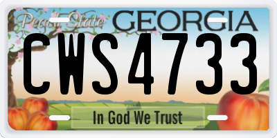 GA license plate CWS4733