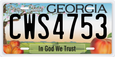 GA license plate CWS4753