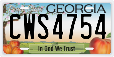 GA license plate CWS4754