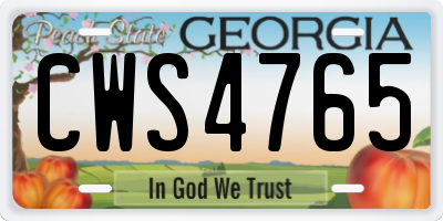 GA license plate CWS4765