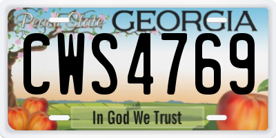 GA license plate CWS4769