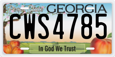 GA license plate CWS4785