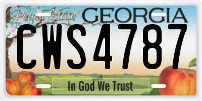 GA license plate CWS4787