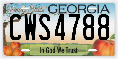 GA license plate CWS4788