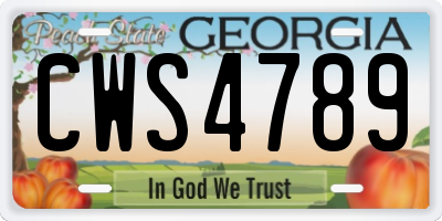 GA license plate CWS4789