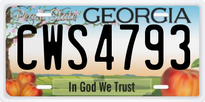 GA license plate CWS4793