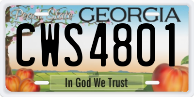 GA license plate CWS4801