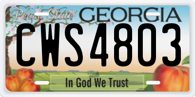 GA license plate CWS4803