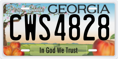 GA license plate CWS4828