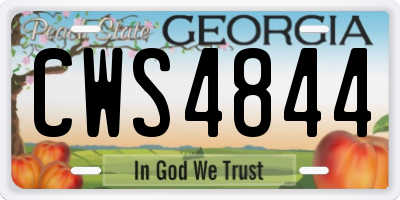 GA license plate CWS4844