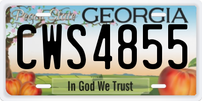 GA license plate CWS4855