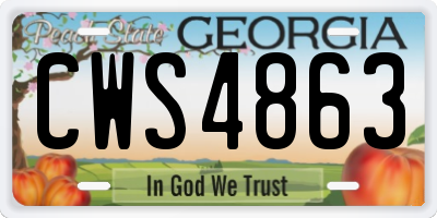 GA license plate CWS4863