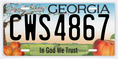 GA license plate CWS4867