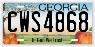 GA license plate CWS4868