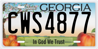 GA license plate CWS4877