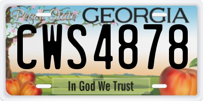 GA license plate CWS4878