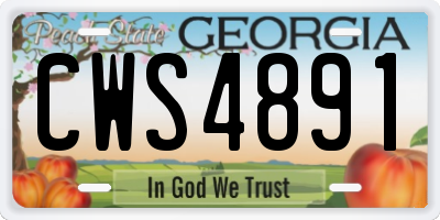 GA license plate CWS4891