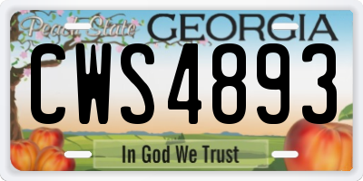 GA license plate CWS4893