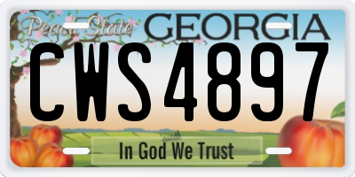 GA license plate CWS4897
