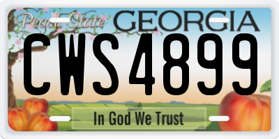 GA license plate CWS4899