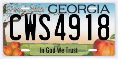 GA license plate CWS4918