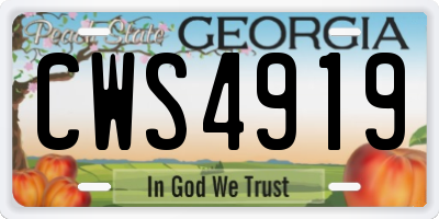 GA license plate CWS4919